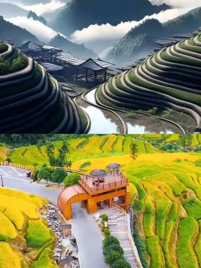 DƬ